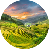 sapa