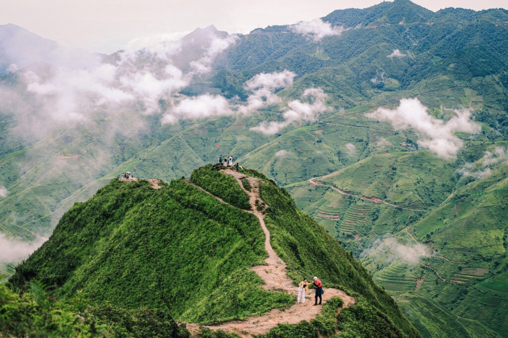 Sống Lưng Khủng Long