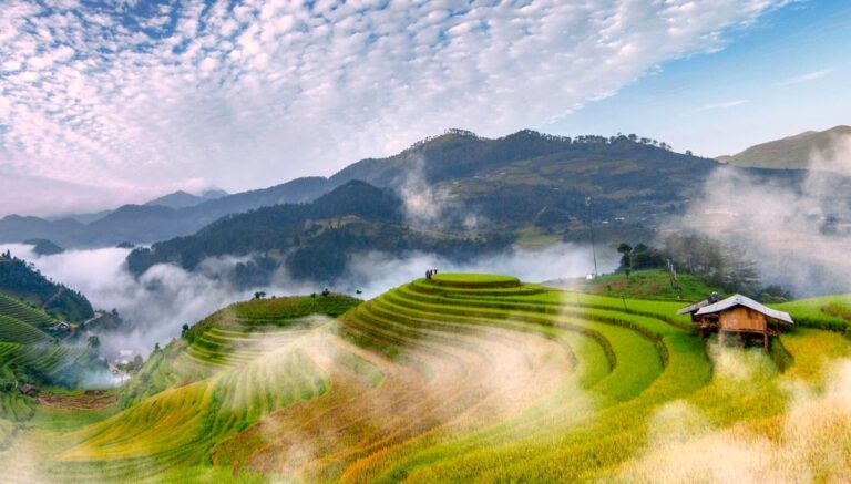 check in mù cang chải
