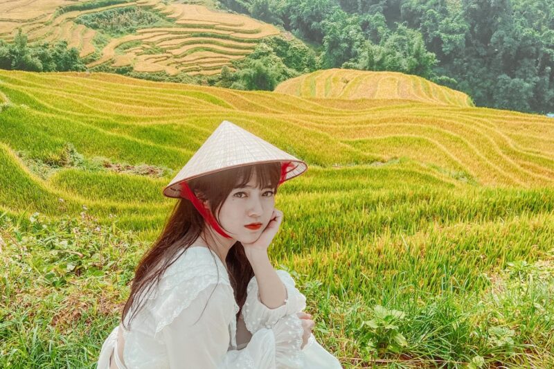 mùa lúa chín Tây Bắc