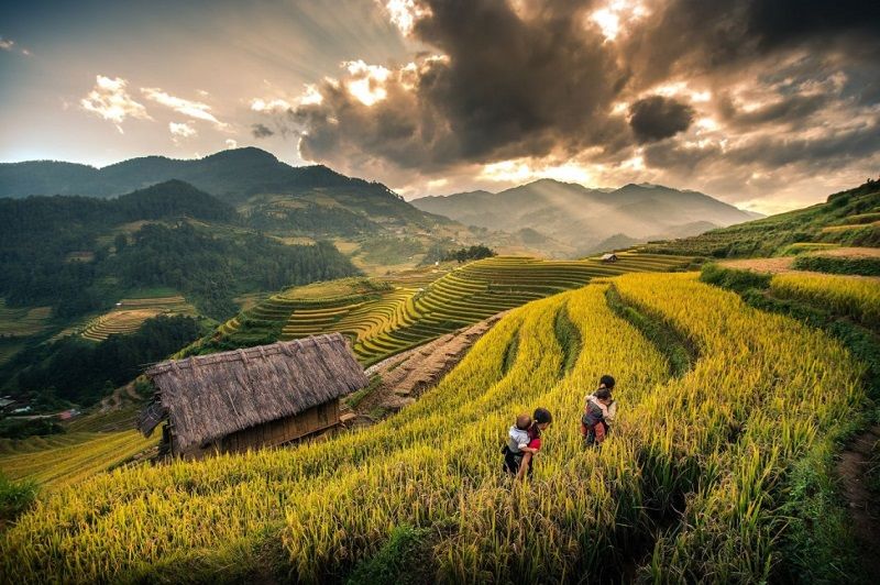 Cẩm nang du lịch Sa Pa