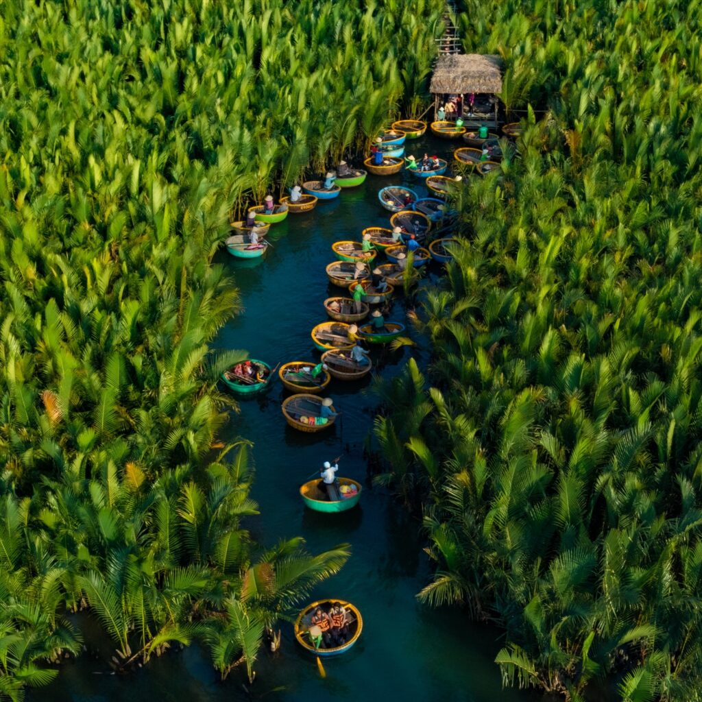 Rừng dừa Cẩm Thanh, Hội An