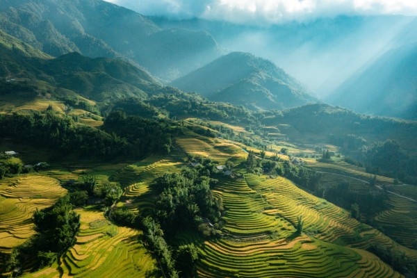 Sapa