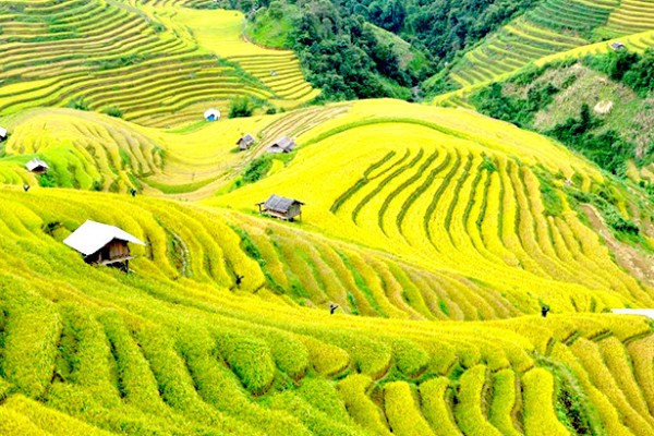 Yên Bái