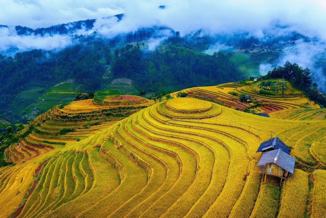 Tour Mù Cang Chải - Sapa - Điện Biên - Mộc Châu
