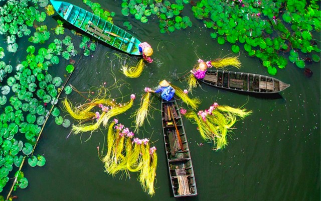 Tour Miền Nam