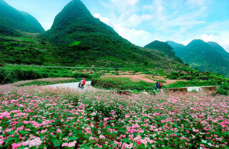 Ảnh chụp m&agrave;n h&igrave;nh 2026-09-30 144654.png